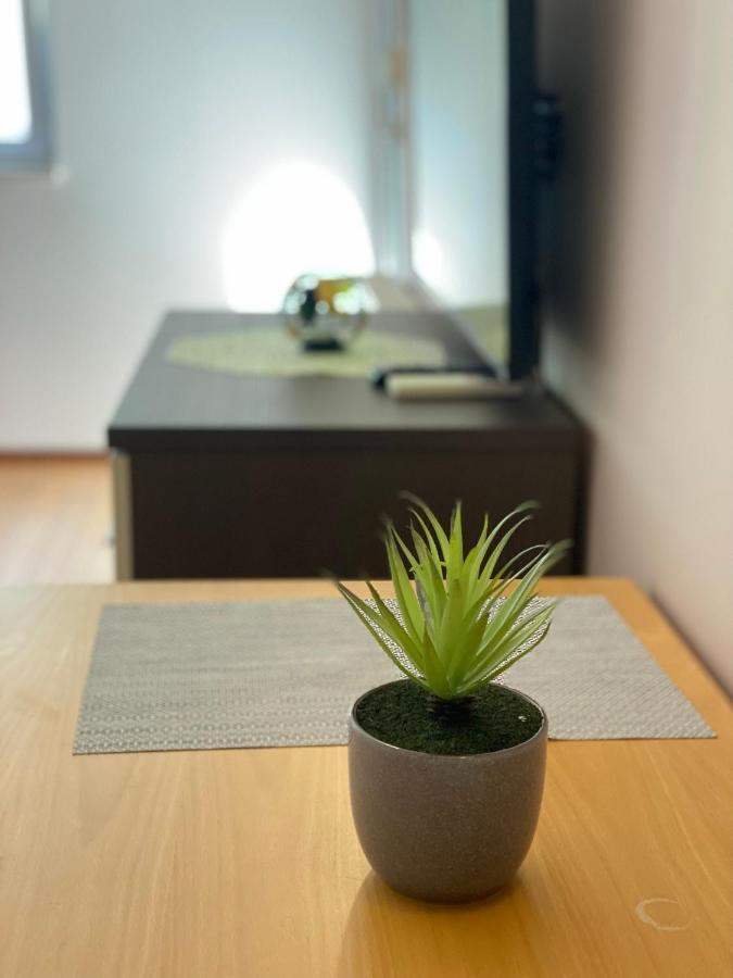 Apartments San Monte بودْسْتغانا المظهر الخارجي الصورة