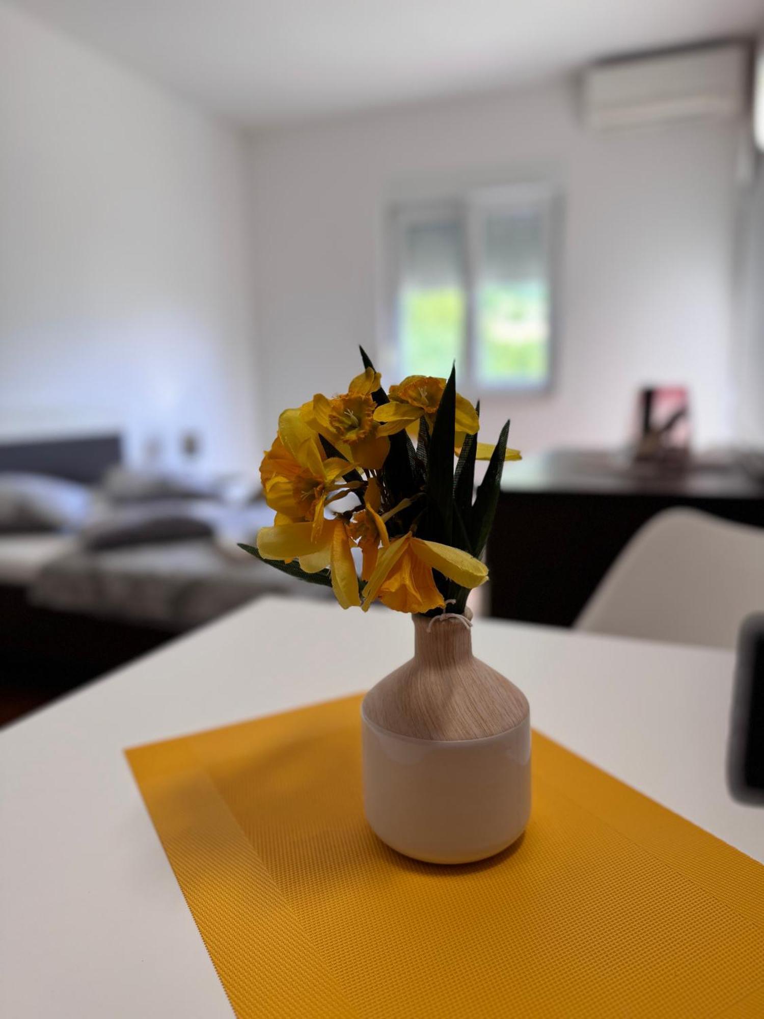 Apartments San Monte بودْسْتغانا المظهر الخارجي الصورة